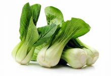 Bok Choy, Baby
